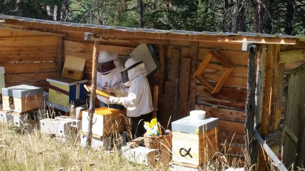 Studio Barcelonnette Ubaye, Provence Enchastrayes المظهر الخارجي الصورة
